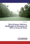 Microfinance Delivery: Challenges & Strategies of MFIs in Gujarat State