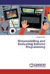 Metamodelling and Evaluating Extreme Programming