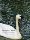 Trumpeter Swan - A Mother's Love Story
