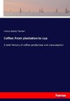 Coffee: From plantation to cup