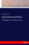 Marine shells of South Africa