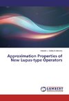 Approximation Properties of New Lupas-type Operators