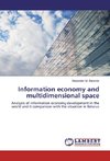 Information economy and multidimensional space