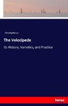 The Velocipede