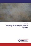 Beauty of Fuzzy in Metric Spaces