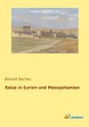 Reise in Syrien und Mesopotamien