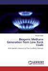 Biogenic Methane Generation from Low Rank Coals