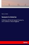 Sawyers in America