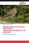 Endoscopía en Fauna Silvestre Caso del Zarapito y el anzuelo