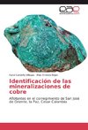 Identificación de las mineralizaciones de cobre