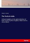 The Turks in India