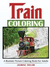 Train Coloring