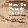 How Do Fossils Form? The Earth's History in Rocks | Children's Earth Sciences Books