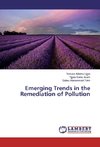 Emerging Trends in the Remediation of Pollution