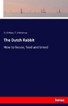 The Dutch Rabbit