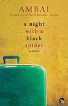 A Night with a Black Spider