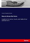 How to Know the Ferns