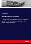 How to Grow Cut Flowers