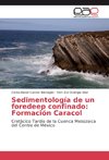Sedimentología de un foredeep confinado: Formación Caracol