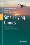 Small Flying Drones: Applications for Geographic Observation