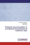 Pedigree reconstruction in commercial broodstock of Common Sole