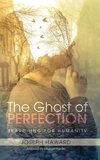The Ghost of Perfection