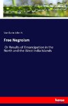 Free Negroism