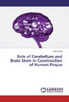 Role of Cerebellum and Brain Stem in Construction of Human Psique