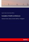 Examples of Gothic architecture