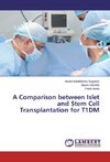 A Comparison between Islet and Stem Cell Transplantation for T1DM
