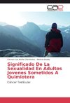 Significado De La Sexualidad En Adultos Jovenes Sometidos A Quimiotera