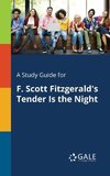 A Study Guide for F. Scott Fitzgerald's Tender Is the Night