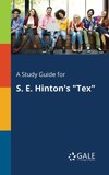 A Study Guide for S. E. Hinton's 