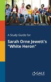 A Study Guide for Sarah Orne Jewett's 