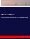 Rhopalocera Malayana