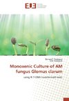 Monoxenic Culture of AM fungus Glomus clarum