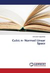 Cubic n- Normed Linear Space