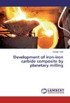 Development of iron-iron carbide composite by planetary milling