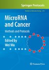 MicroRNA and Cancer
