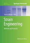 Strain Engineering