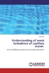 Understanding of weak turbulence of capillary waves ¿