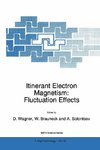 Itinerant Electron Magnetism: Fluctuation Effects