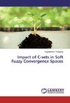 Impact of C-sets in Soft Fuzzy Convergence Spaces