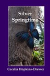 Silver Springtime