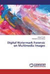 Digital Watermark Forensic on Multimedia Images