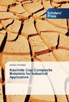 Kaolinite Clay Composite Materials for Industrial Application