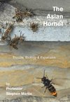 The Asian Hornet