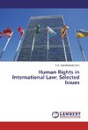 Human Rights in International Law: Selected Issues