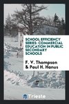 School Efficiency Series