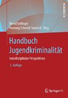 Handbuch Jugendkriminalität